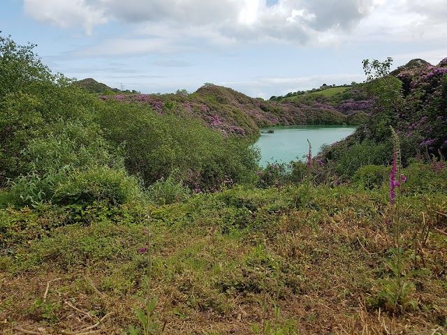 Wheal Martyn Clay Works